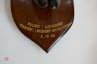 RED DEER MOUNTED SLOT - 3