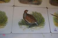 6 X GAMEBIRD SCENE TABLE MATS - 3