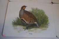 6 X GAMEBIRD SCENE TABLE MATS - 4