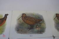 6 X GAMEBIRD SCENE TABLE MATS - 7