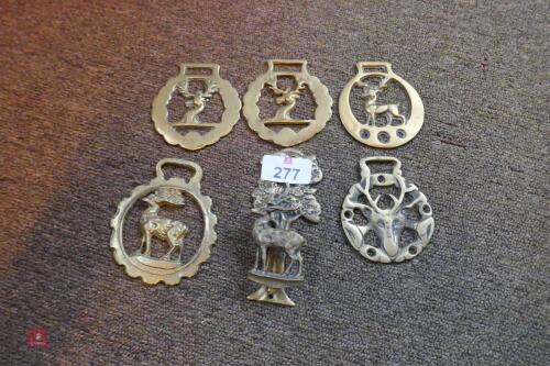 5 X BRASS EFFECT HORSE BRASSES