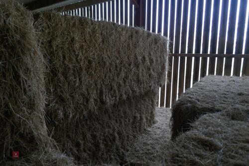 50T OF LARGE RECTANGULAR BALE 2022 HAY Bidding Per Tonne