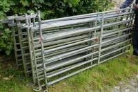 10 GALVANISED SHEEP HURDLES - 4