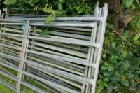 10 GALVANISED SHEEP HURDLES - 5