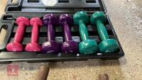 SET OF DUMBBELLS IN CASE - 2