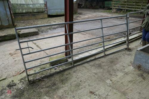 11' GALVANISED FIELD GATE