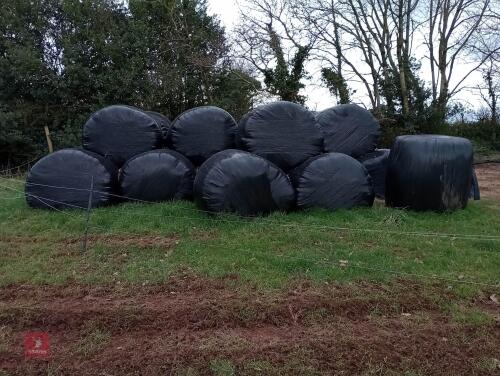 36 ROUND BALES OF SILAGE