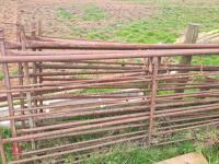 10 SHEEP HURDLES