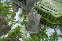 ASSORTED POULTRY EQUIPMENT - 10