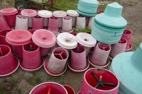 21 RED MANOLA FEEDERS - 3