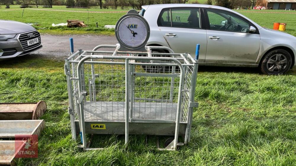 IAE SHEEP WEIGH SCALES