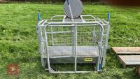 IAE SHEEP WEIGH SCALES - 4