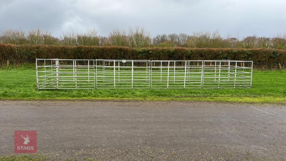 10 ALPACA HURDLES