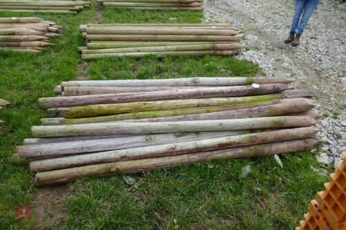 31 WOODEN 8' LONG STAKES