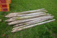 31 WOODEN 8' LONG STAKES