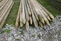 28 WOODEN 8' LONG STAKES - 3