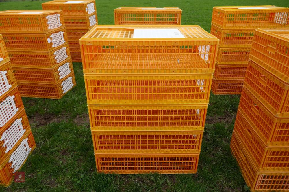 5 D3 ORANGE POULTRY CRATES