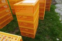 5 D3 ORANGE POULTRY CRATES - 2