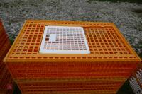 5 D3 ORANGE POULTRY CRATES - 5