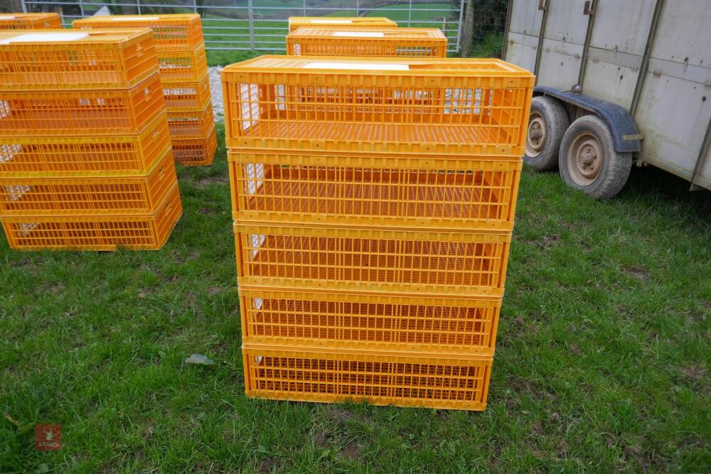 5 D3 ORANGE POULTRY CRATES