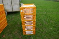 5 D3 ORANGE POULTRY CRATES - 2