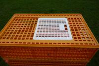 5 D3 ORANGE POULTRY CRATES - 5