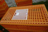 5 D3 ORANGE POULTRY CRATES - 5