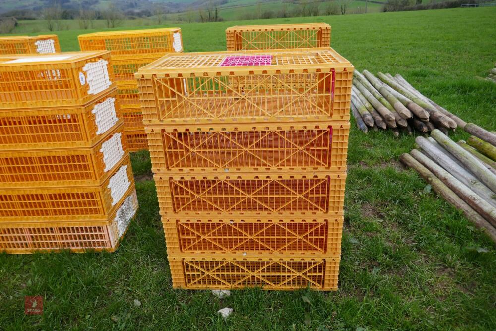 5 MONDIAL ORANGE POULTRY CRATES