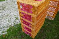 5 MONDIAL ORANGE POULTRY CRATES - 2