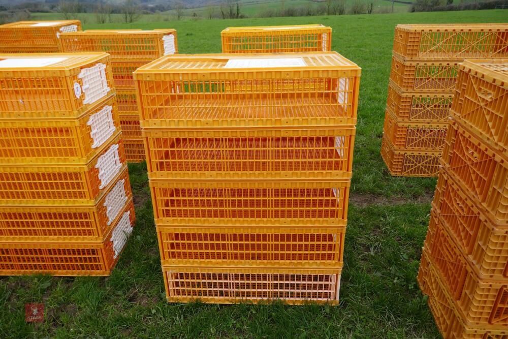 5 D3 ORANGE POULTRY CRATES