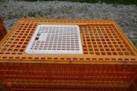 5 D3 ORANGE POULTRY CRATES - 5