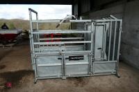 BATEMAN GALVANISED CATTLE CRUSH - 4