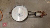 TUBAR CATTLE WEIGH SCALES