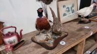 PAIR OF PHEASANTS - 2