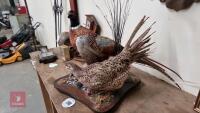 PAIR OF PHEASANTS - 4