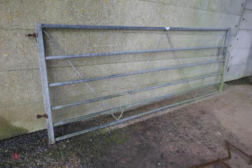 10' GALVANISED GATE