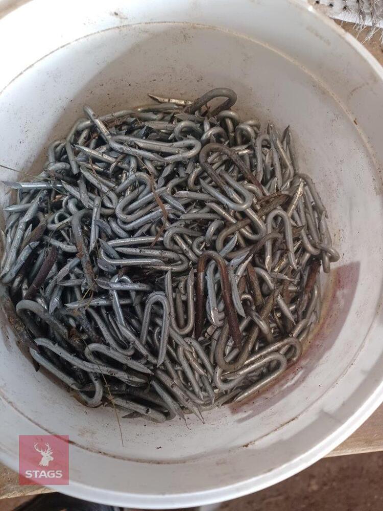 APPROX 3KG OF STAPLES