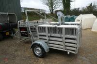 2019 MOBILE SHEEP HANDLING SYSTEM - 12