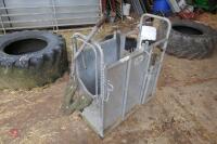 IAE GALVANISED DE-HORNING CRATE - 2