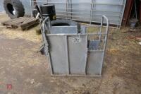 IAE GALVANISED DE-HORNING CRATE - 3