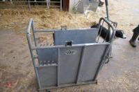 IAE GALVANISED DE-HORNING CRATE - 4