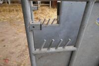 IAE GALVANISED DE-HORNING CRATE - 5