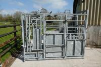IAE GALVANISED CATTLE CRUSH