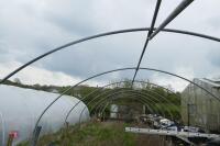 APPROX 16MX6.4MX3M TALL POLYTUNNEL FRAME - 2