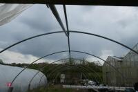 APPROX 16MX6.4MX3M TALL POLYTUNNEL FRAME - 6