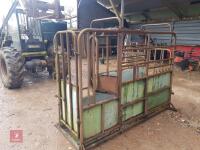 CATTLE CRUSH