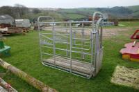 GALVANISED CATTLE CRUSH - 4