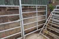 GATED 10' GALVANISED CATTLE HURDLE - 5