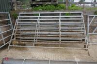 5 X 10' IAE GALVANISED CATTLE HURDLES