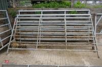 5 X 10' IAE GALVANISED CATTLE HURDLES - 2